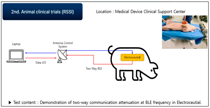 Figure 19