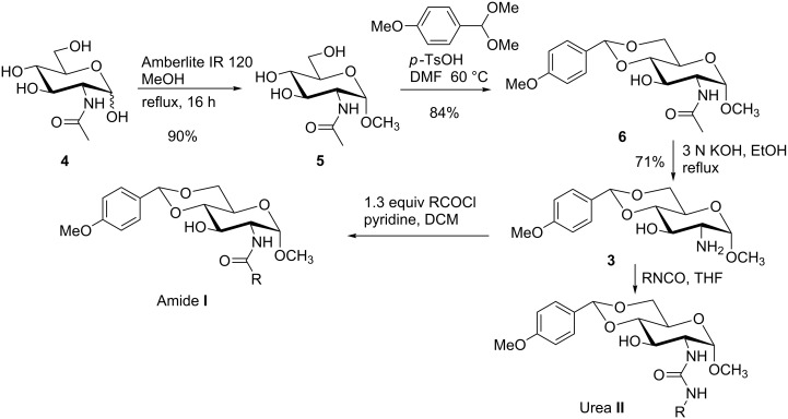 Scheme 1