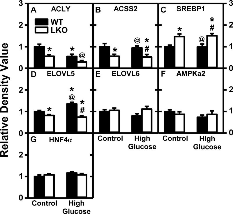 Figure 9.