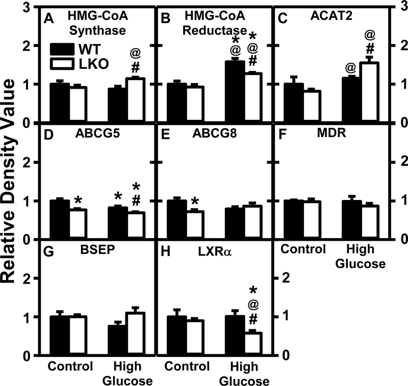 Figure 15.