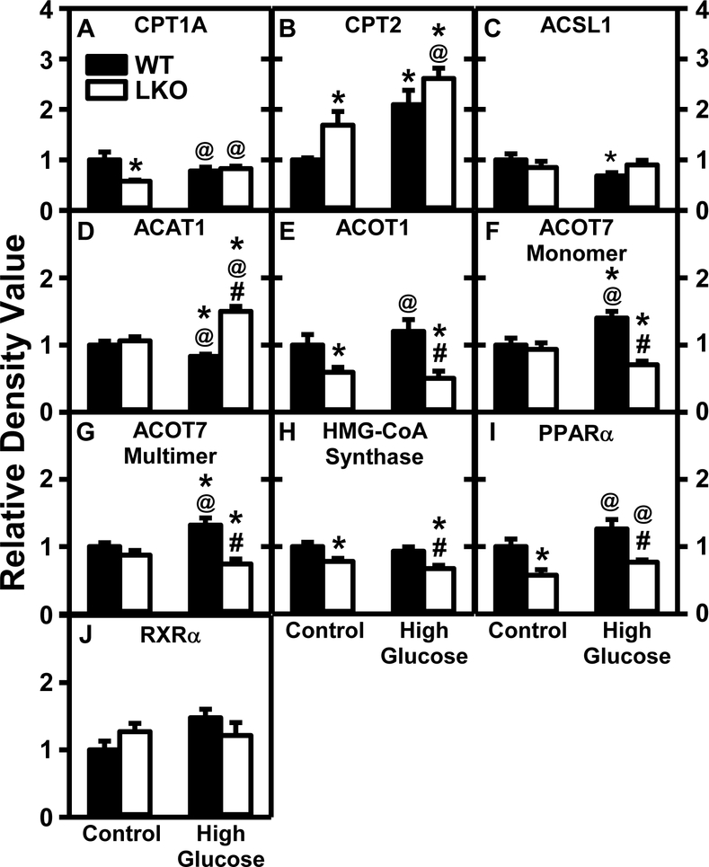 Figure 12.