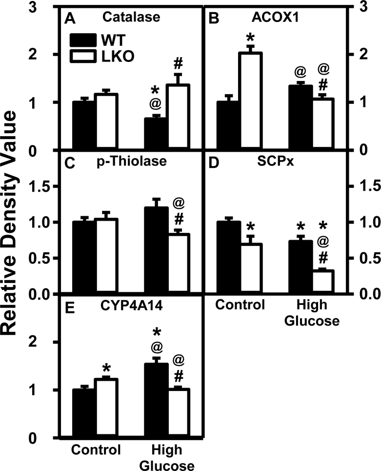 Figure 13.