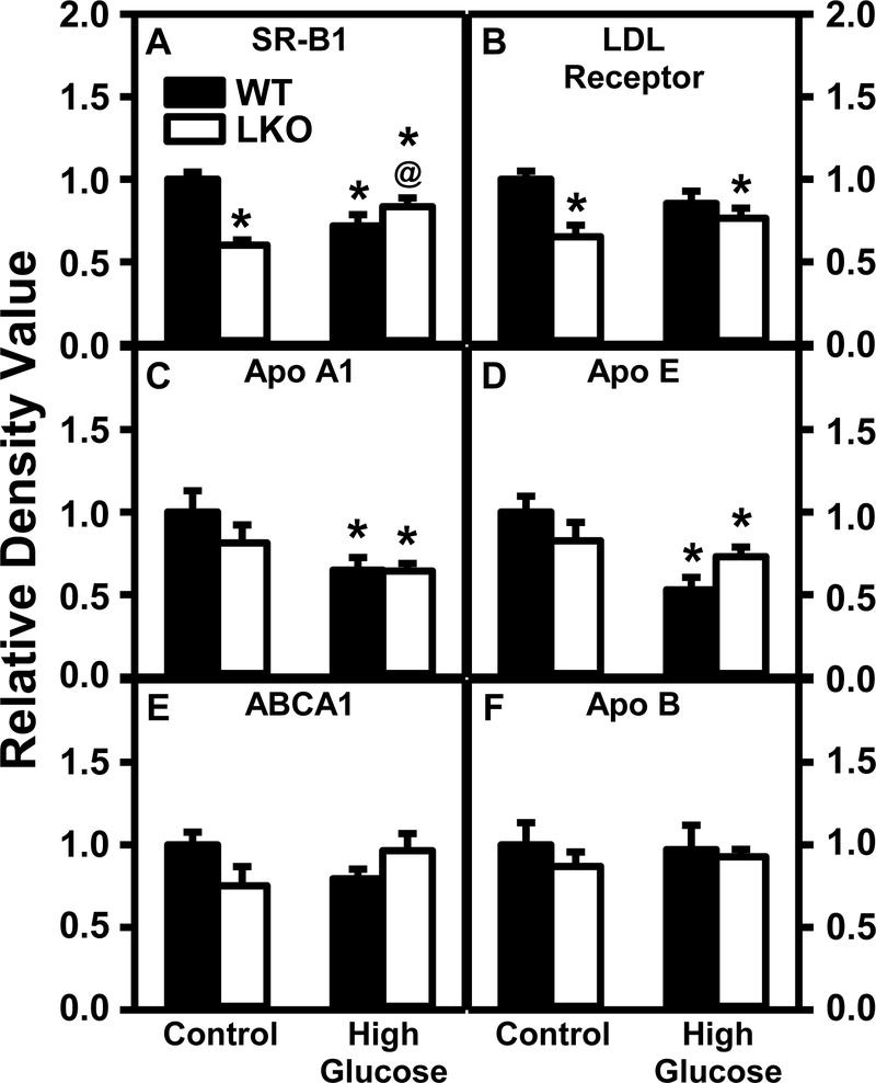 Figure 14.