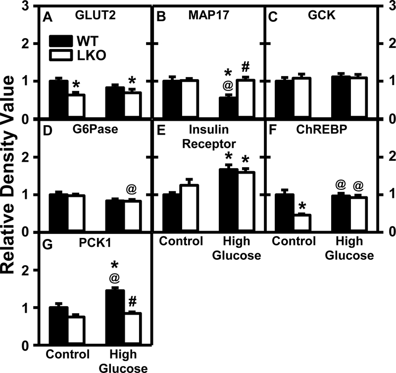 Figure 11.