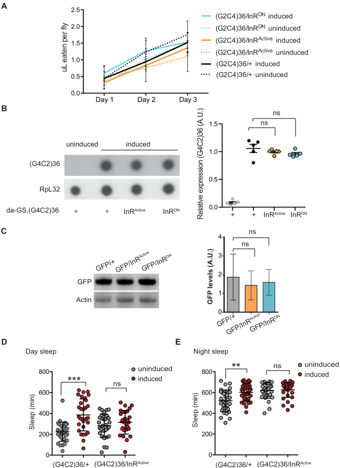 Figure 2—figure supplement 1.