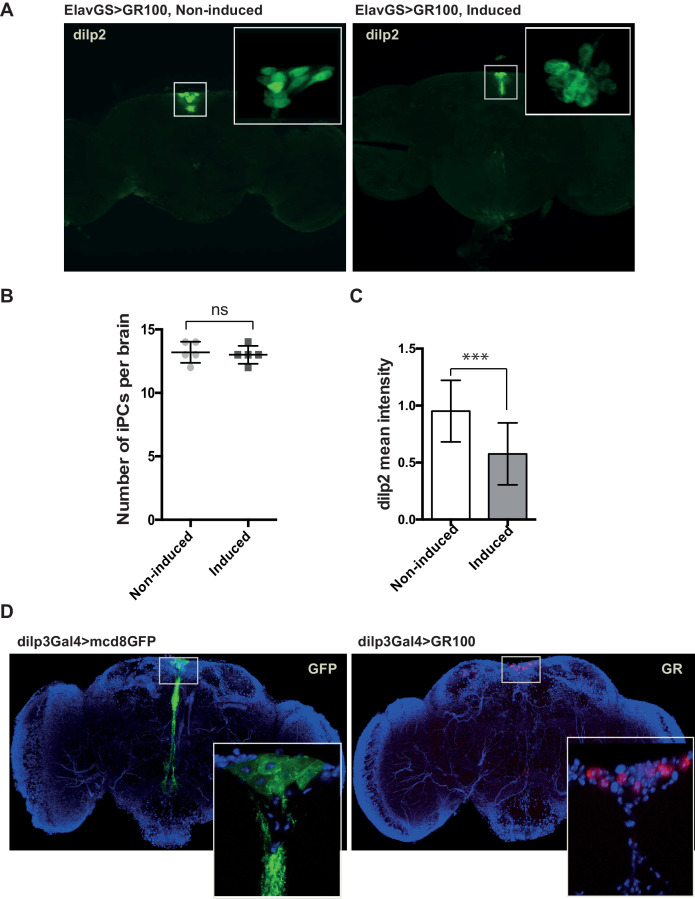 Figure 1—figure supplement 3.