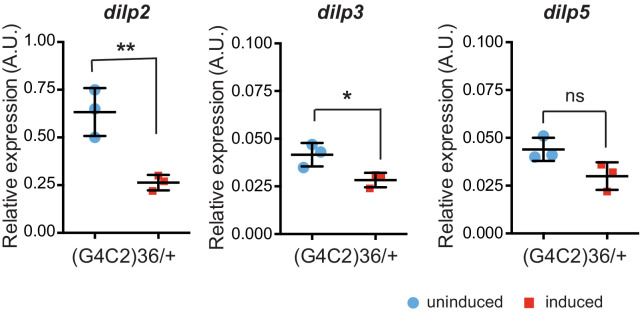 Figure 1—figure supplement 2.