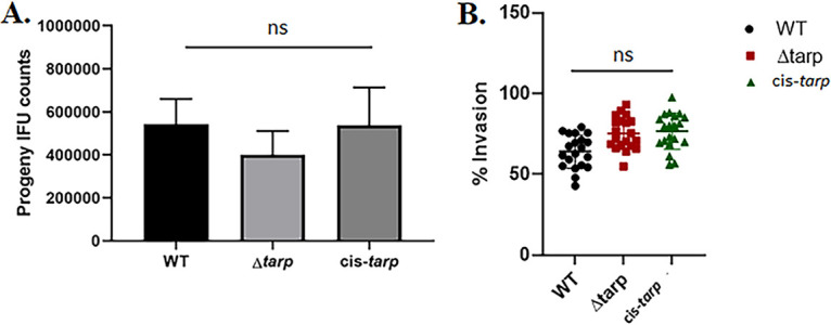 FIG 5