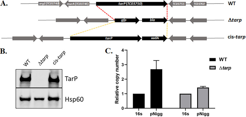 FIG 4