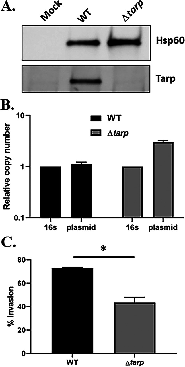 FIG 3