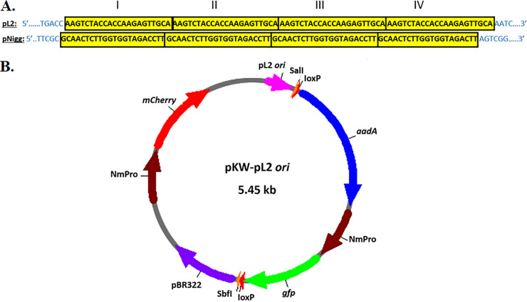 FIG 1