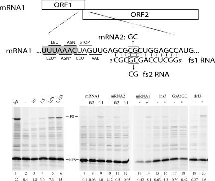 FIGURE 1.