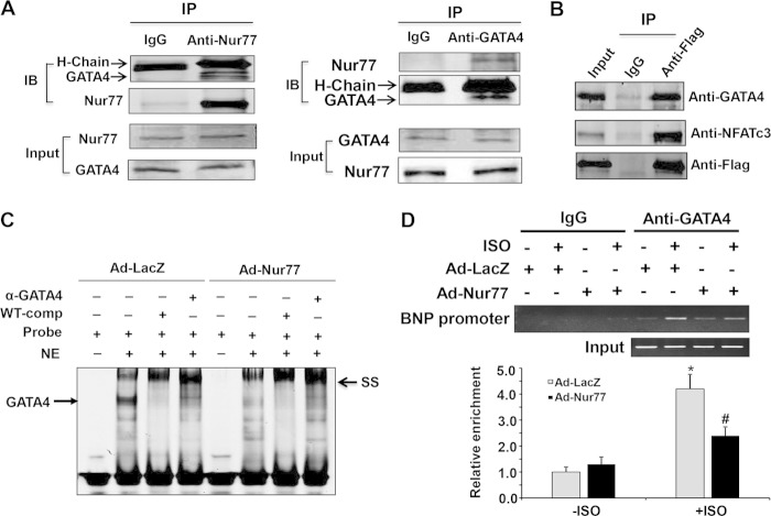 FIG 10