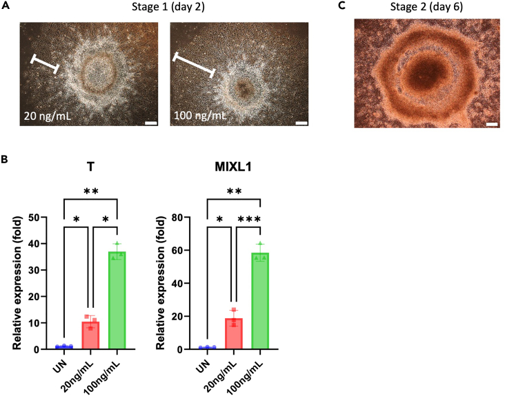 Figure 3