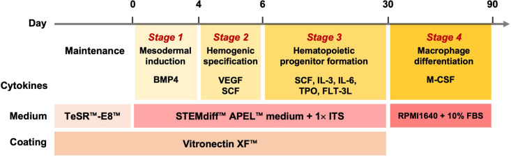 Figure 2