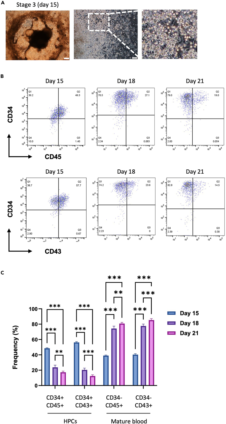 Figure 4