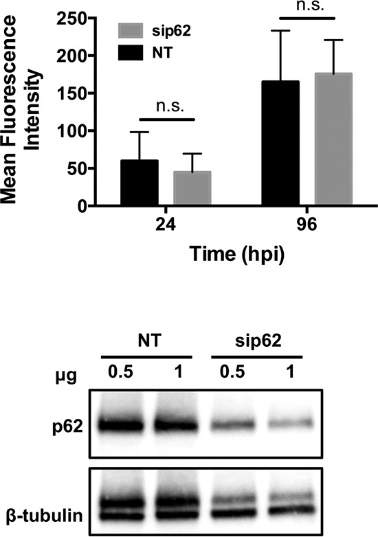 FIG 5