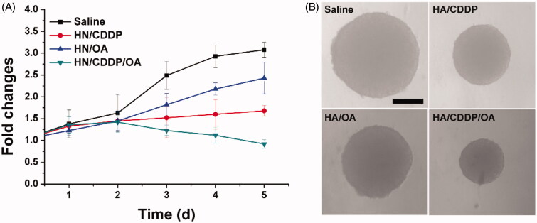 Figure 5.