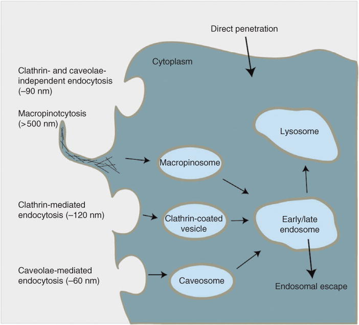 FIGURE 2