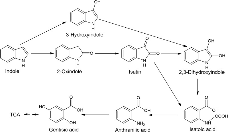 Fig. 6