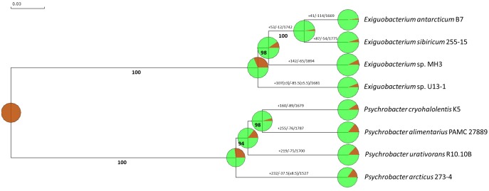 Fig. 7.