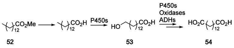 Scheme 28