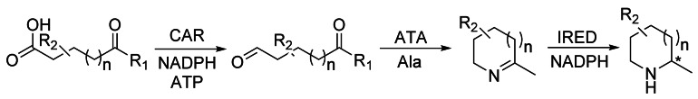 Scheme 26