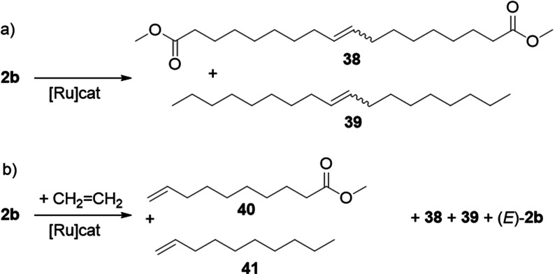 Scheme 17