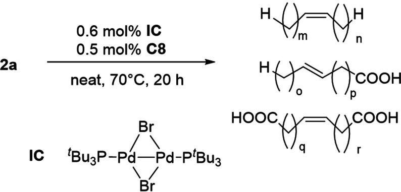 Scheme 20