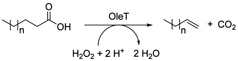 Scheme 27