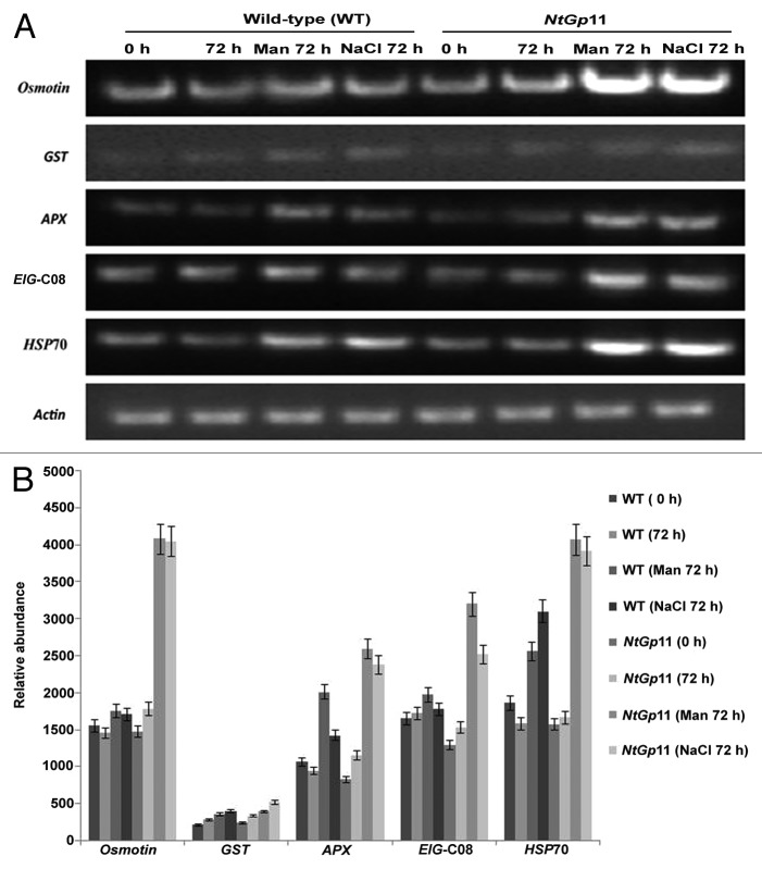 graphic file with name psb-9-e29246-g4.jpg