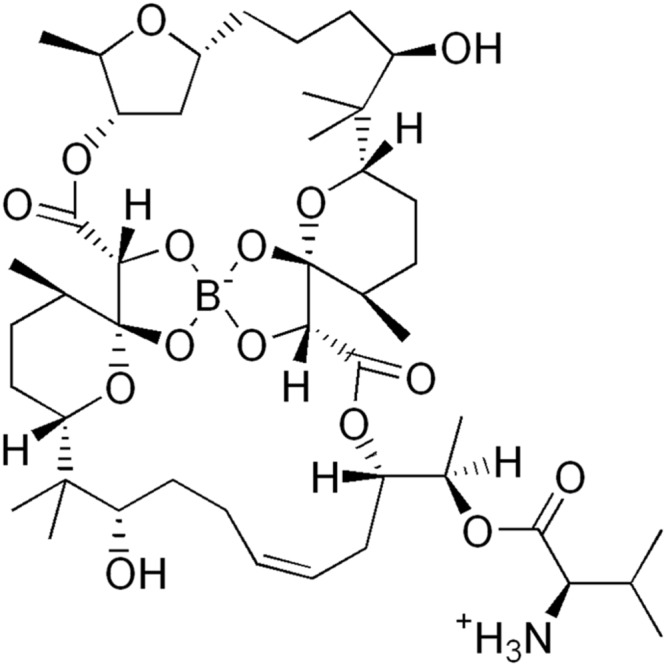 FIGURE 1