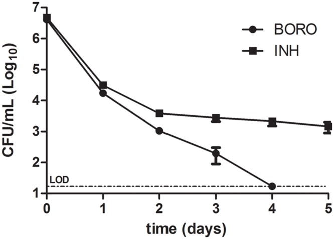 FIGURE 2