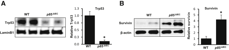 Figure 5