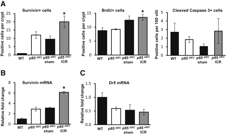 Figure 6