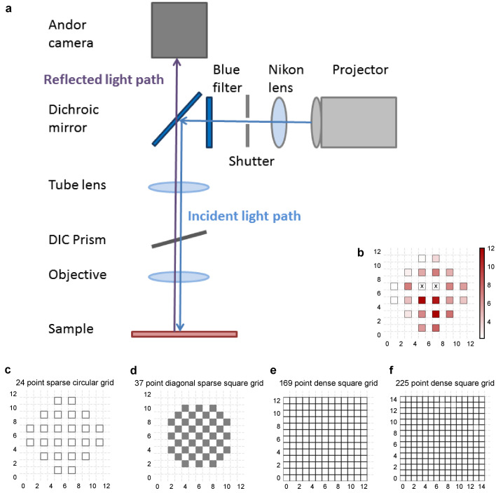 Figure 1—figure supplement 1.