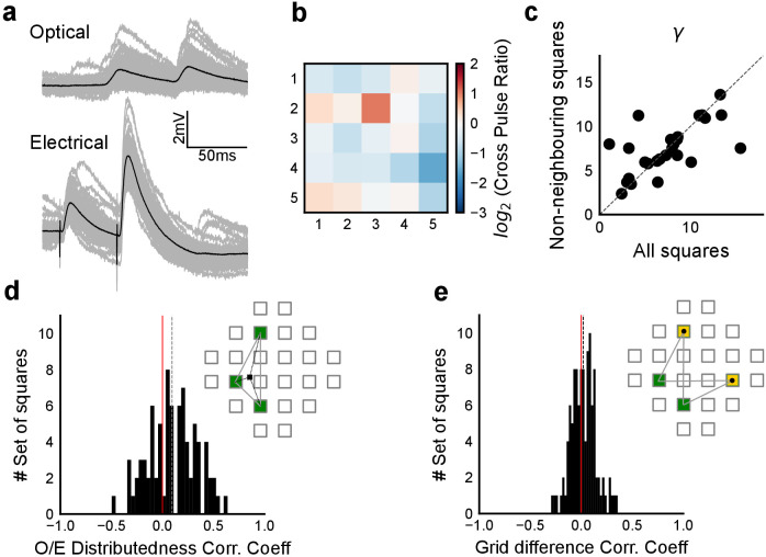 Figure 4—figure supplement 2.