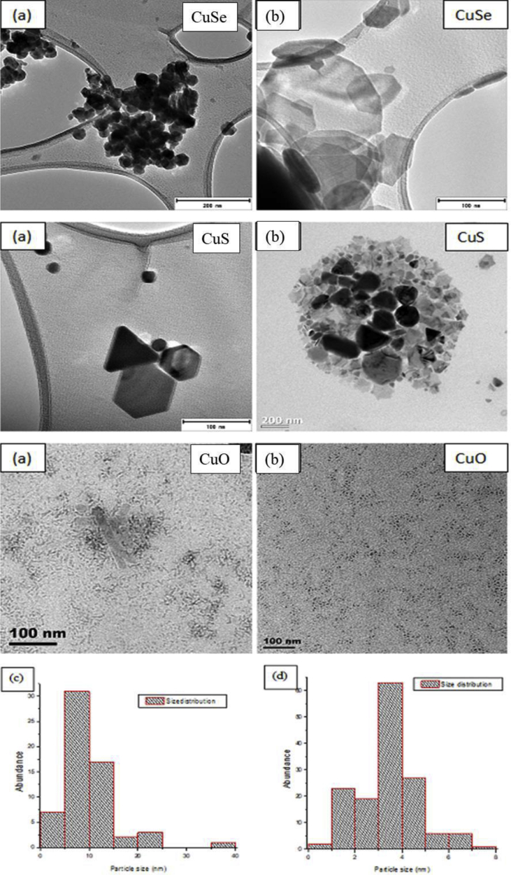 Figure 2