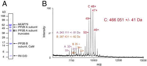 Fig. 2.