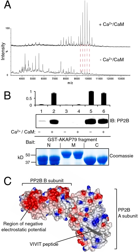 Fig. 3.