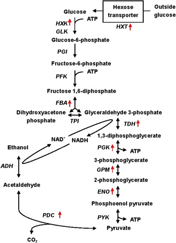 Fig. 7