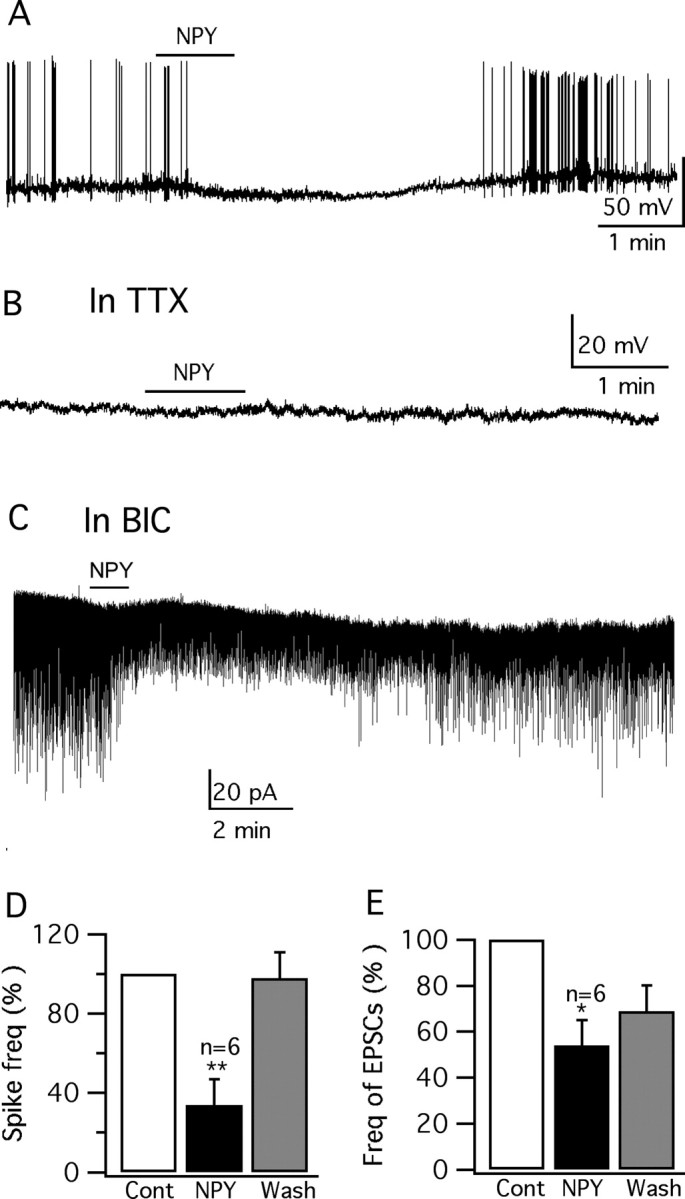 Figure 13.