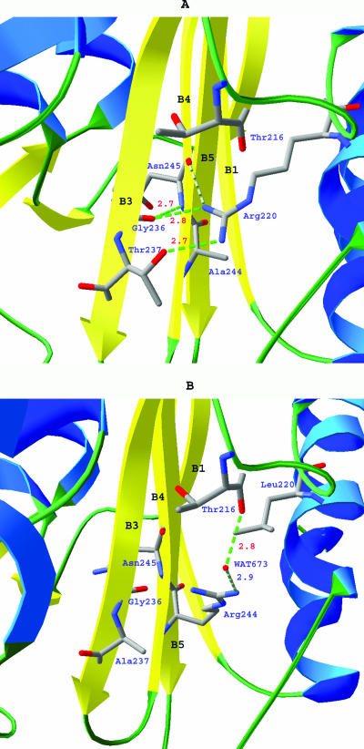 FIG. 5.