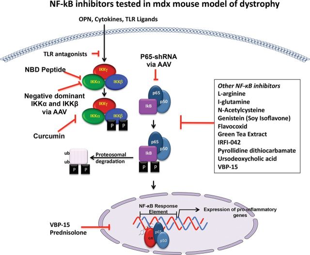 Figure 6