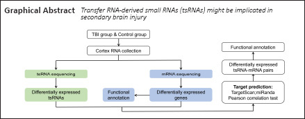 graphic file with name NRR-17-386-g001.jpg