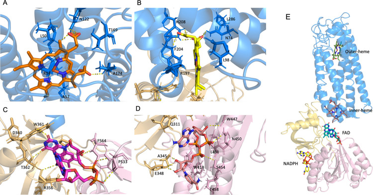 Fig 3