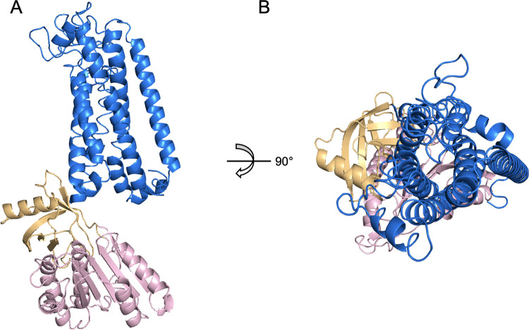 Fig 1