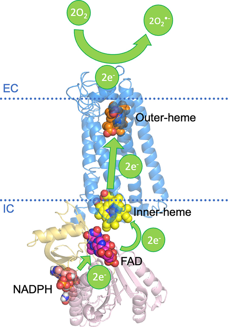 Fig 4