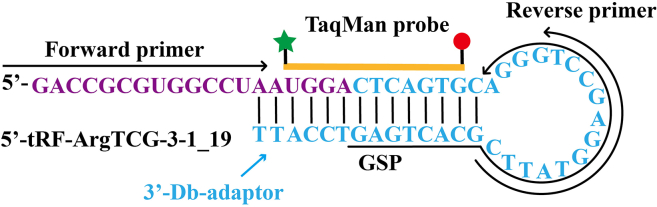 Figure 1