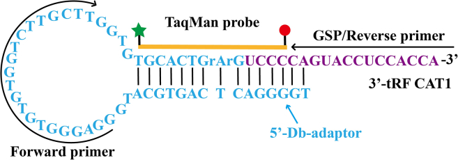 Figure 2